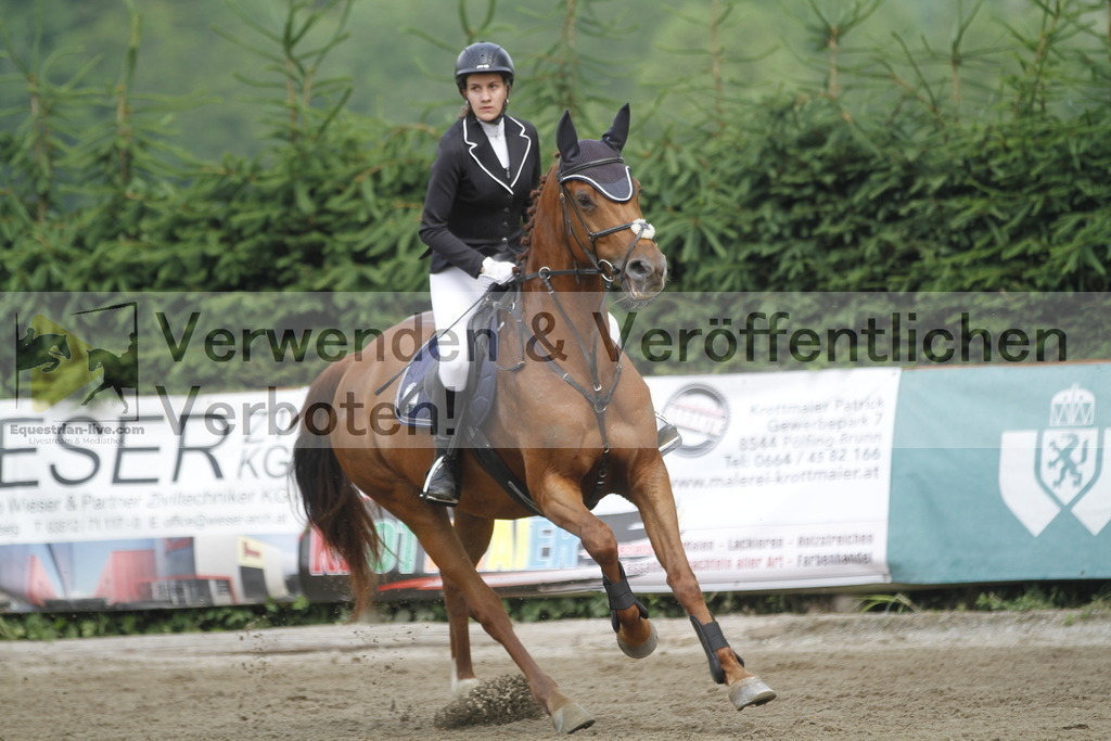 _MG_4503 | equestrian-live-com