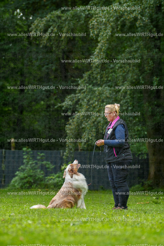 @allesWIRTHgut_Tierfotografie - www.allesWIRTHgut.de - 7R501218 | Professionelle Tierfotografie in Mönchengladbach von Daniel Wirth (allesWIRTHgut). Liebevolle & natürliche Bilder von Hunden & Katzen für unvergessliche Erinnerungen.