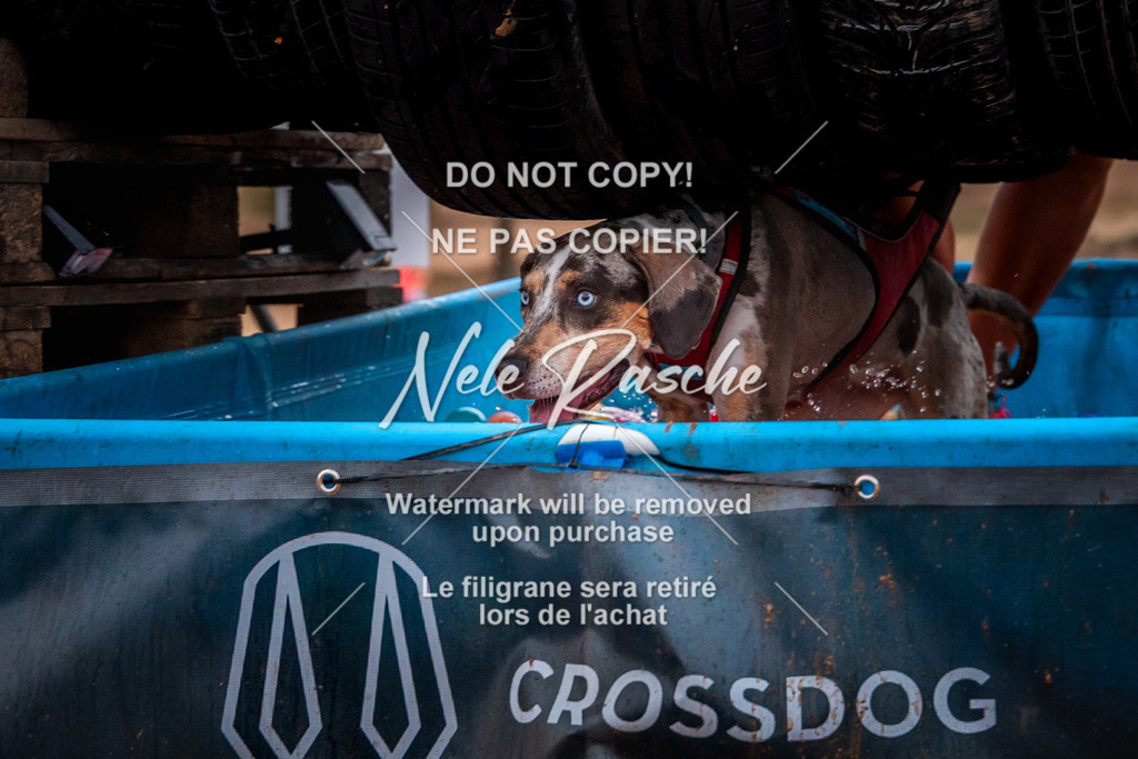 nelerasche_SummerNights26-Sa2000-2100_148 | nelerasche