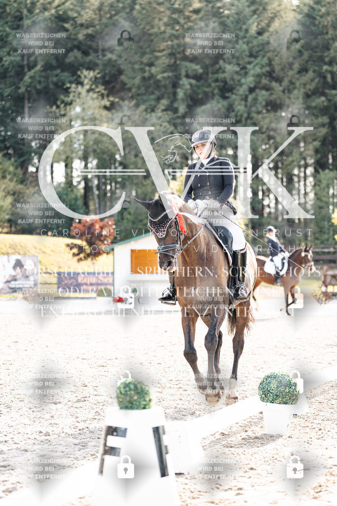 CK901803 | Turnierfotografie Pferdefotografie Trier Rheinland-Pfalz Pferdesport Reitsport Tierfotografie Sportfotografie Pferdevideo Pferdevideografie Equestrianvideography equestrianphotography  - Realisiert mit Pictrs.com