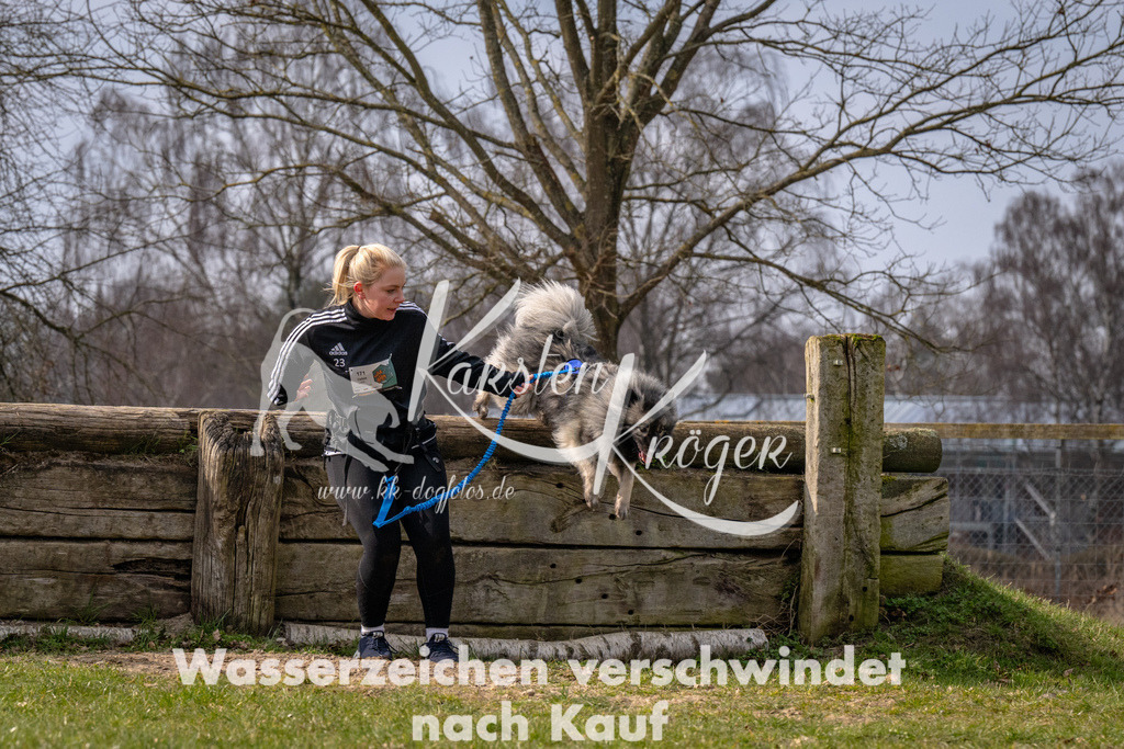 _ZZ91016 | kk-dogfotos