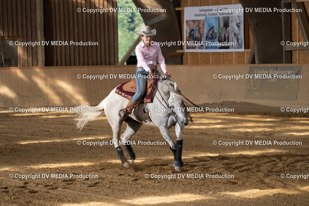 DSC00508 | dv-media-shop - Realisiert mit Pictrs.com