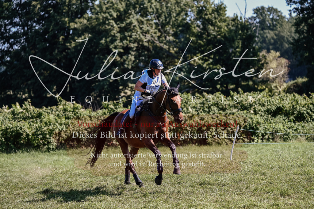 DSC_2011 | Pferde- und Turnierfotografie in Westsachsen. Pferdeportraits, Auftragszeichnungen und intuitive Kunst.