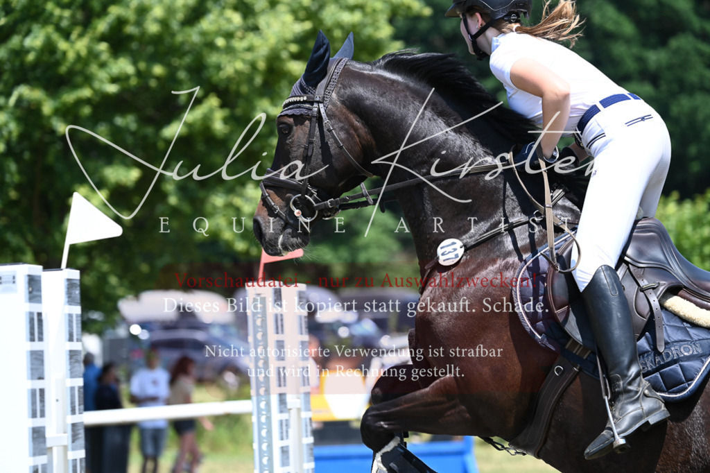 DSC_0731 | Pferde- und Turnierfotografie in Westsachsen. Pferdeportraits, Auftragszeichnungen und intuitive Kunst.
