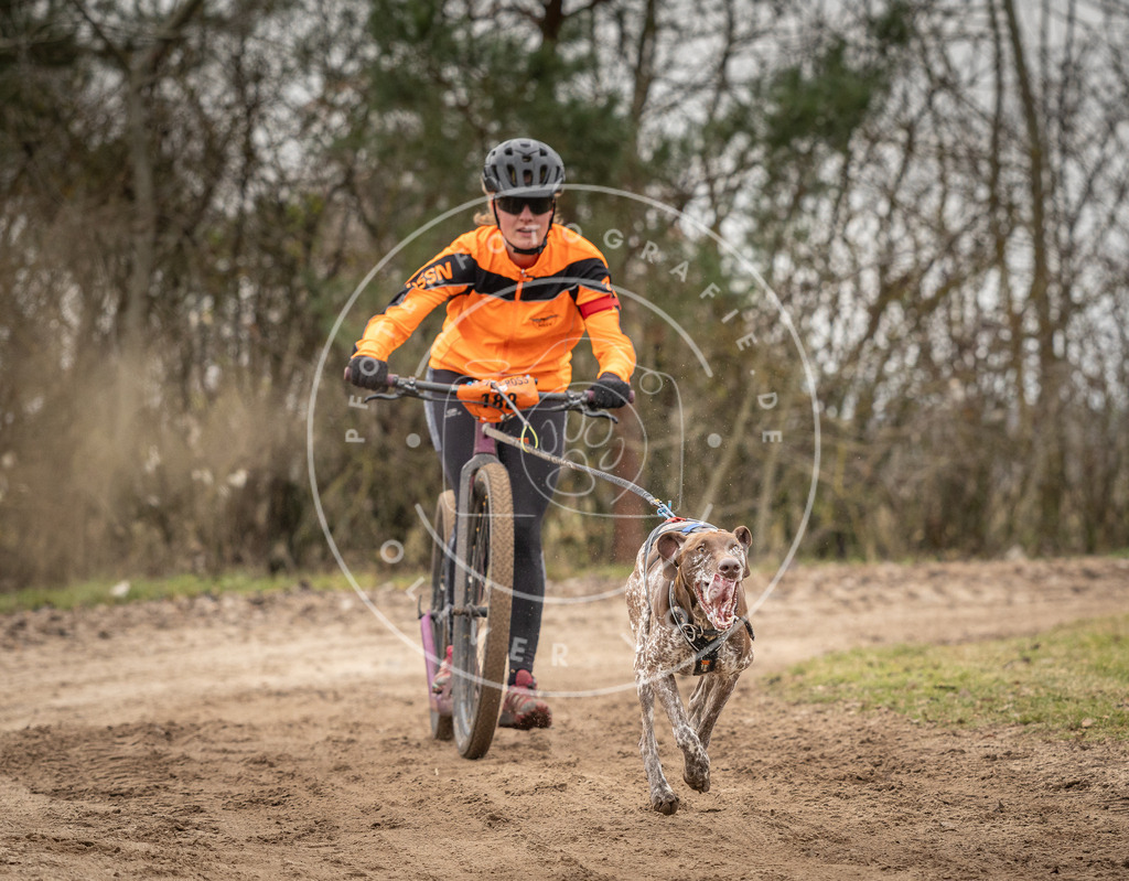 Pfotenfotografie_DV3A9865 | Hundefotografie, Tierfotograf, Pfotenfotografie, Fotoshooting Hund, Hunde Portrait, Hundesport, Hundeportraits, Heideshooting, Hunde, Sportfotograf, Hundefotograf, Turnierhundsport, THS,  - Realisiert mit Pictrs.com