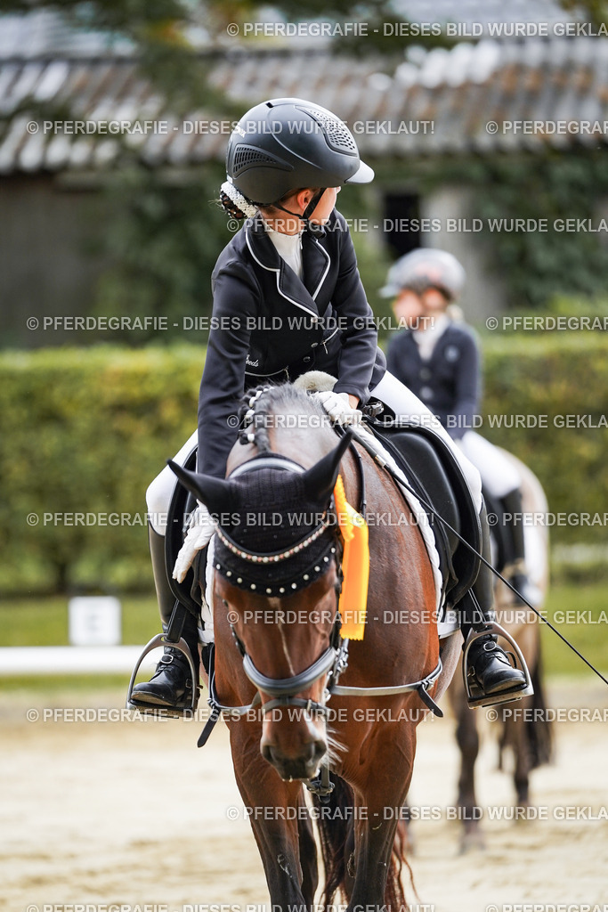 DSC05721 | Pferdegrafie