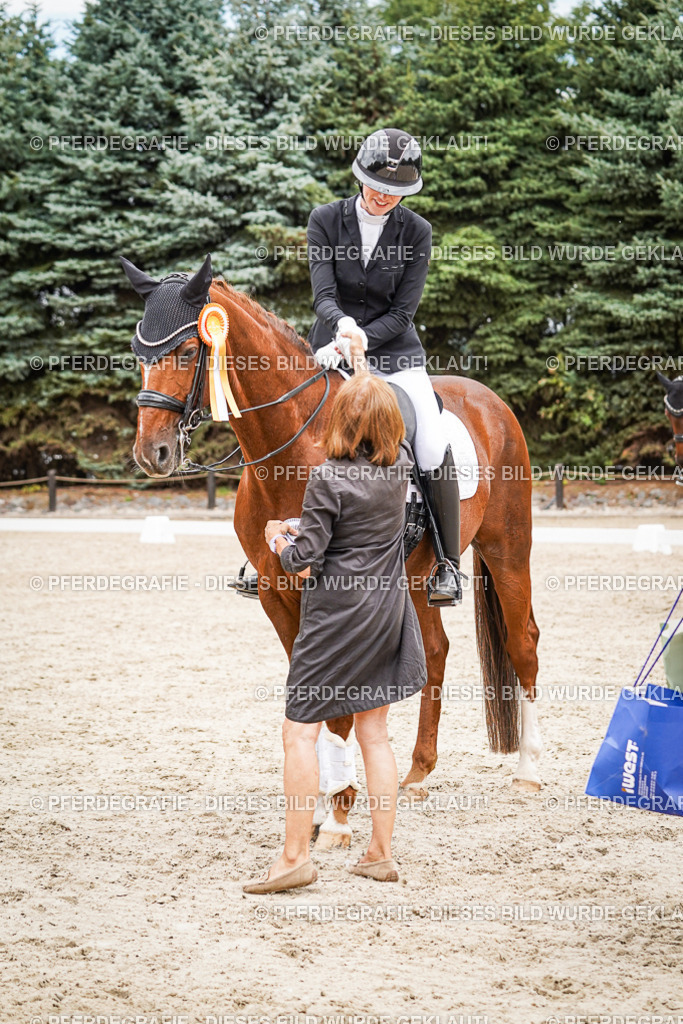 DSC04735 | Pferdegrafie