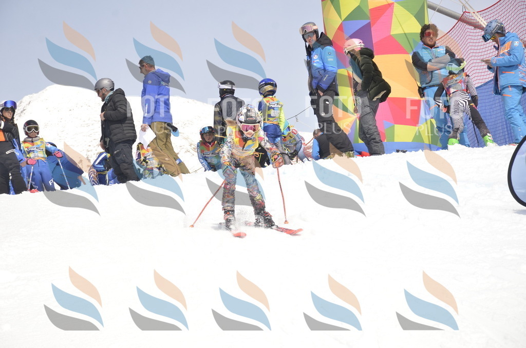 _ELE8731 | holidayphoto