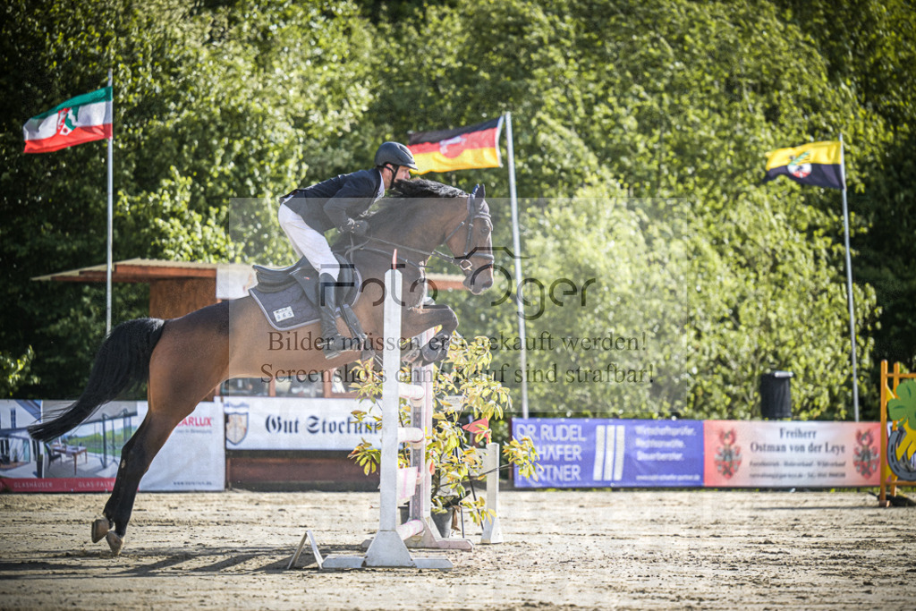 DOS_9886 | Entdecke hochwertige Reitturnierfotos von Foto Oger. Professionell, emotional und authentisch – jetzt Lieblingsmomente im Shop bestellen.Deutschlandweite Turnierfotografie. - Realisiert mit Pictrs.com