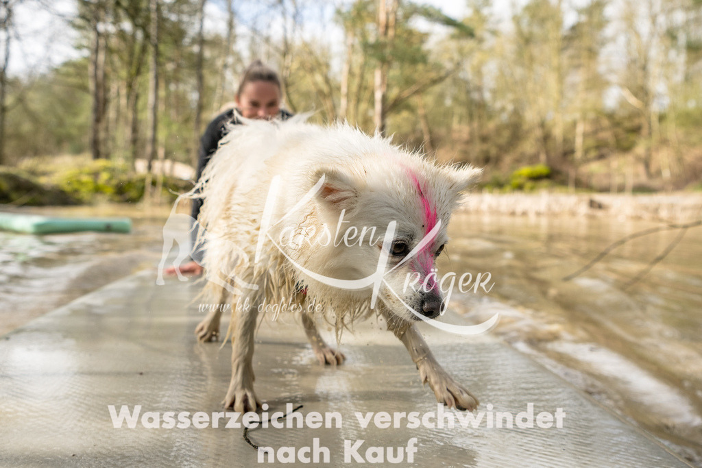 1007_ZZ92629 | kk-dogfotos