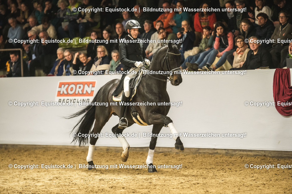 20240302_Hengstvorstellung_Marbach_TOMsPiC_1497 | equistock