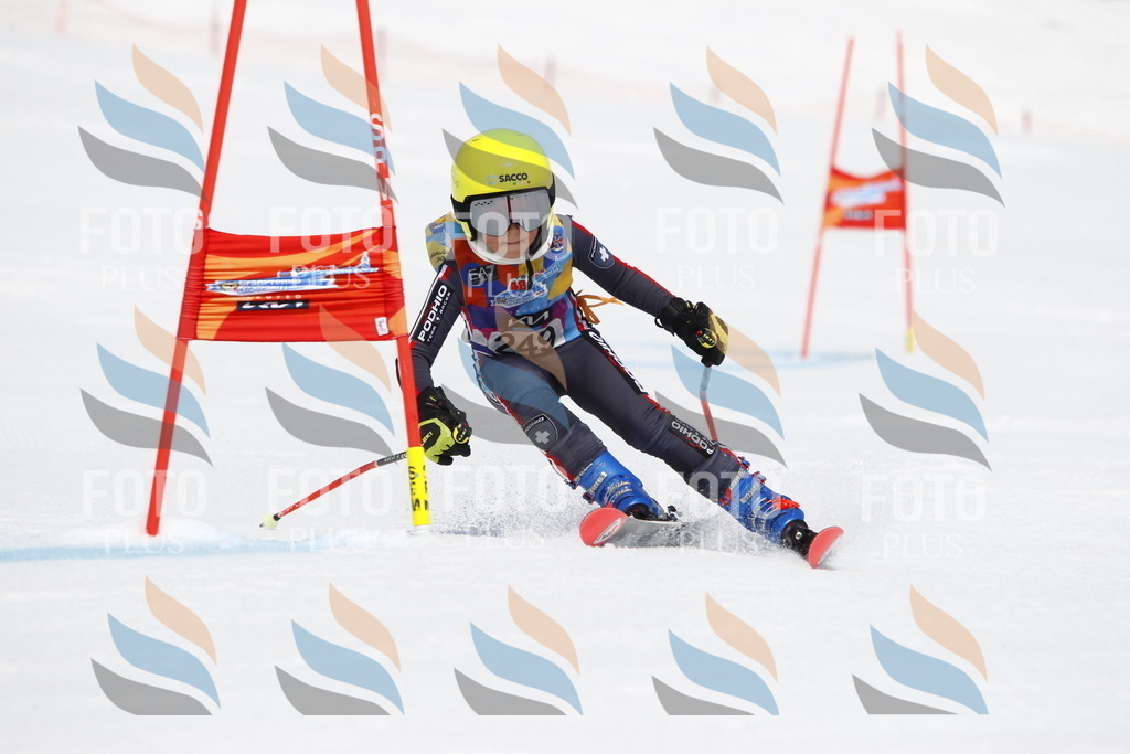 _U3G6297 | holidayphoto