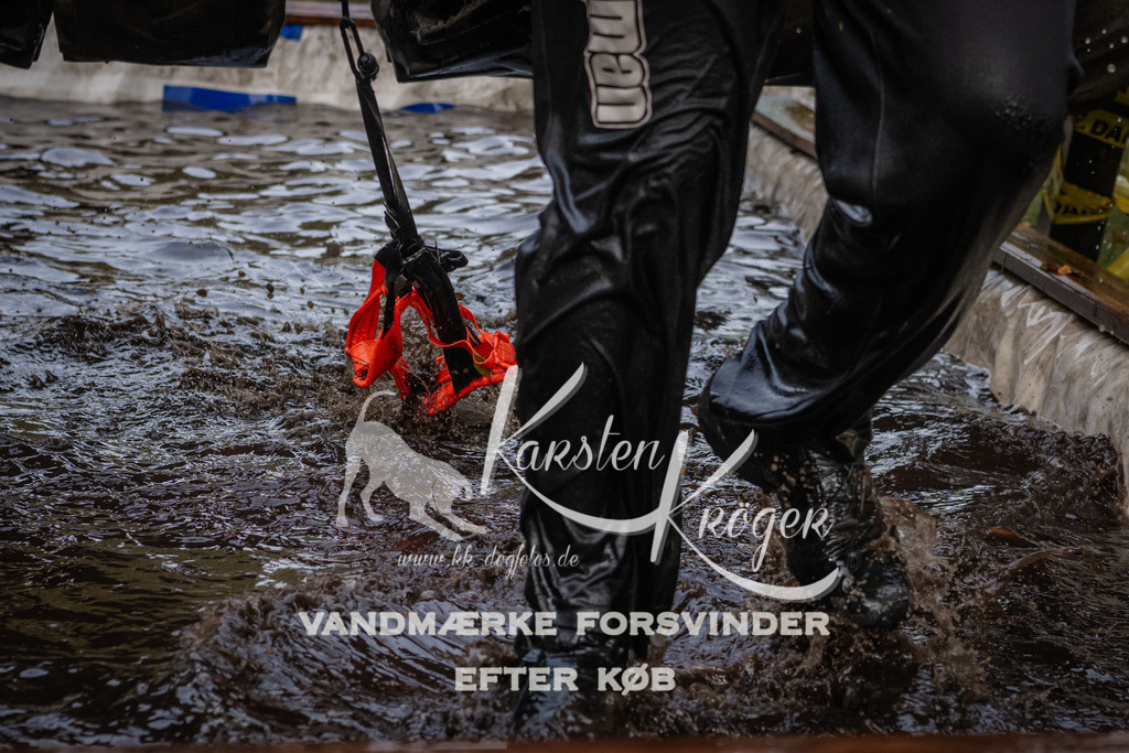 1456_ZZ90718 | kk-dogfotos