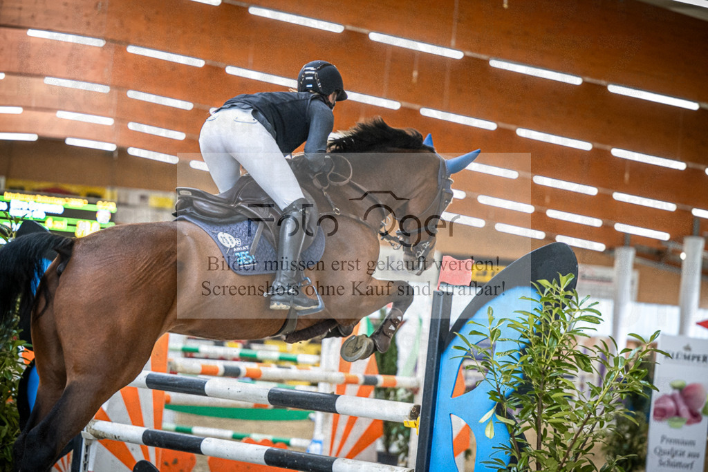 DOS_0092 | Entdecke hochwertige Reitturnierfotos von Foto Oger. Professionell, emotional und authentisch – jetzt Lieblingsmomente im Shop bestellen.Deutschlandweite Turnierfotografie. - Realisiert mit Pictrs.com