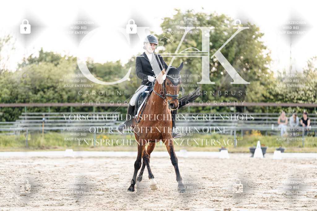 CK909822 | Turnierfotografie Pferdefotografie Trier Rheinland-Pfalz Pferdesport Reitsport Tierfotografie Sportfotografie Pferdevideo Pferdevideografie Equestrianvideography equestrianphotography  - Realisiert mit Pictrs.com