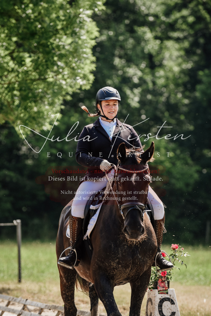 DSC_0151 | Pferde- und Turnierfotografie in Westsachsen. Pferdeportraits, Auftragszeichnungen und intuitive Kunst.
