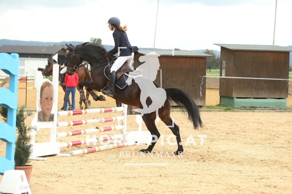 DL2Q4711 | Willkommen bei Brunnmayr - Design & Fotografie – Ihrem Spezialisten für Reitturniere und Pferdeveranstaltungen in Oberösterreich, Salzburg und Bayern! Seit über 17 Jahren sind wir leidenschaftlich dabei.