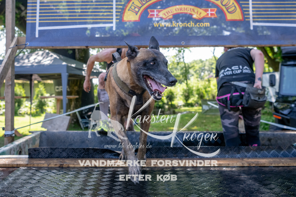 1504_ZZ90159 | kk-dogfotos