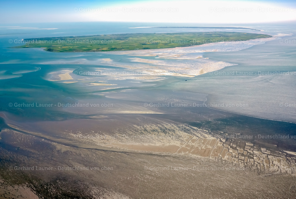 3091294 | Föhr, Nationalpark Schleswig-Holsteinisches Wattenmeer