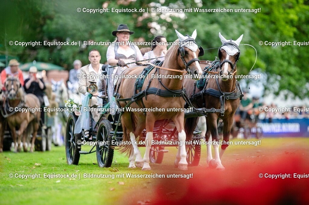 20250606_Lange-Pferdenacht_0152 | Foto: Thomas Hartig