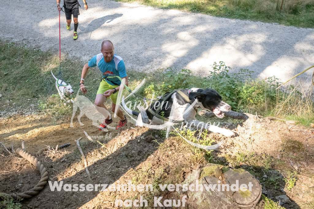 1238_ZZ94688 | kk-dogfotos