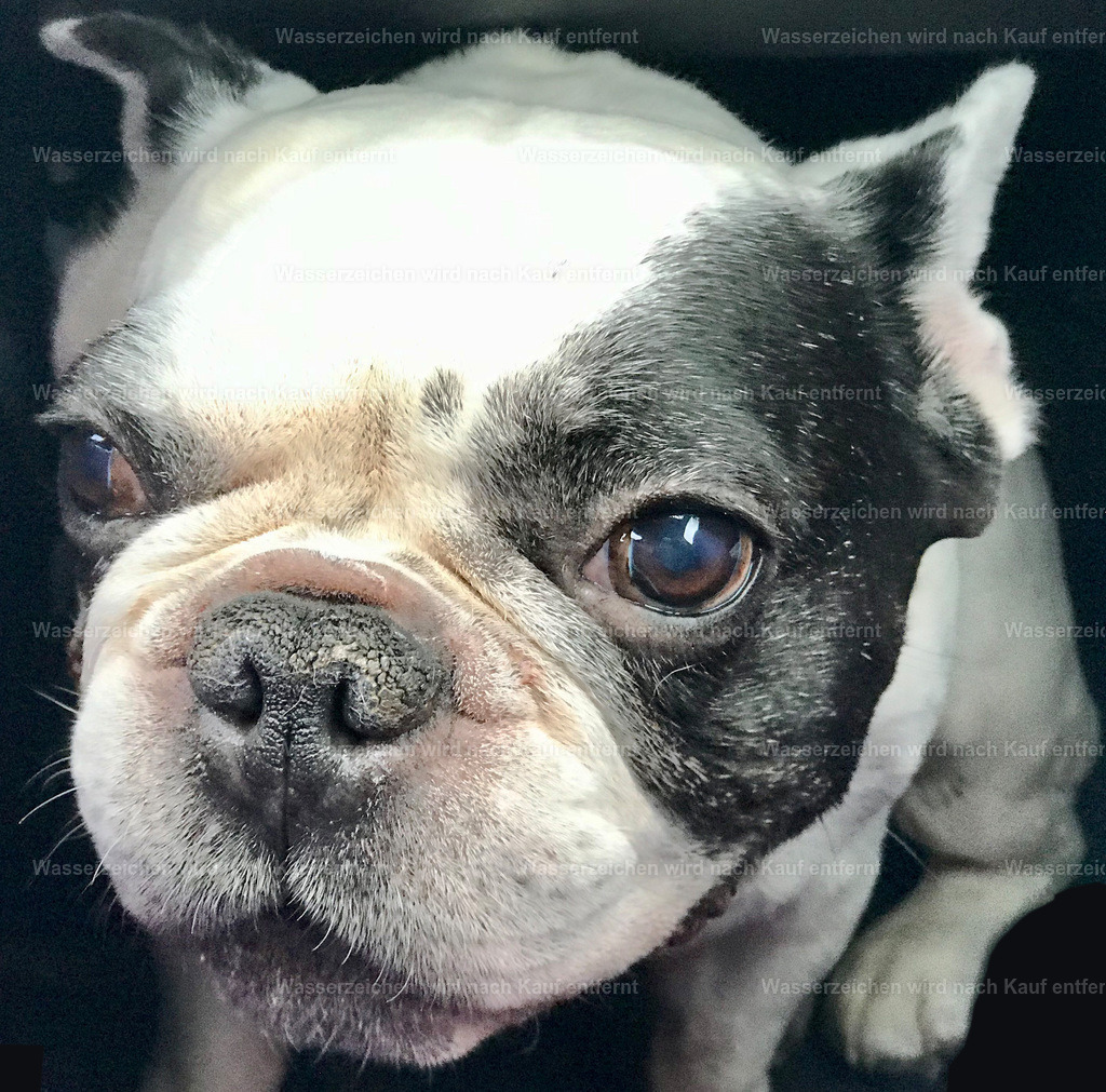 IMG_8686 | heikomoeller - Realisiert mit Pictrs.com