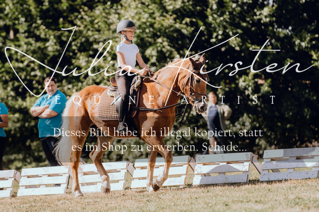 DSC_7295 | Pferde- und Turnierfotografie in Westsachsen. Pferdeportraits, Auftragszeichnungen und intuitive Kunst.