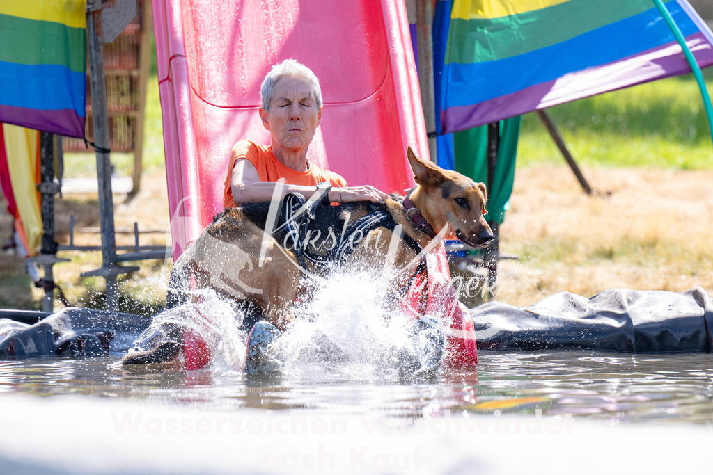 1418_ZZ94307 | kk-dogfotos