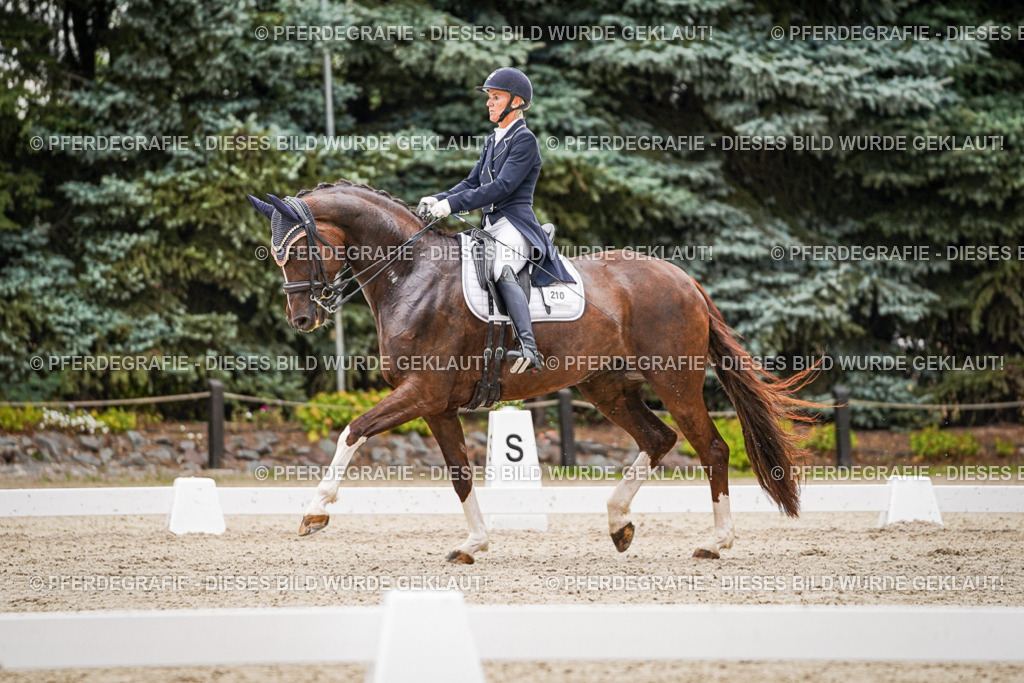 DSC07778 | Pferdegrafie