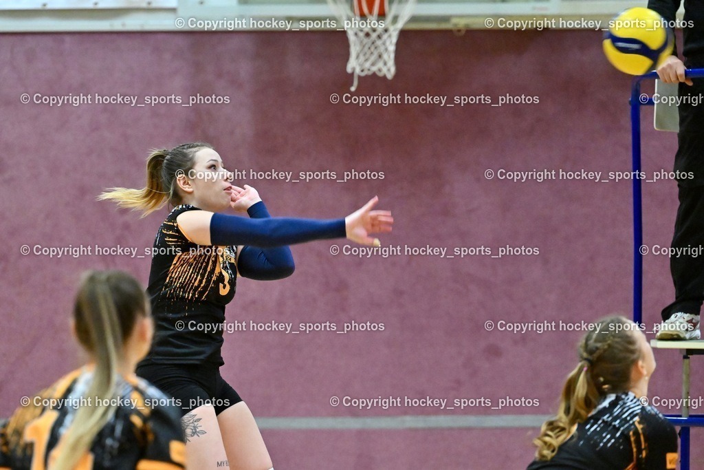 ASKÖ Volley Eagles vs. SSV HIB Volley 21.1.2024 | #3 Sabrina BUTTAZONI