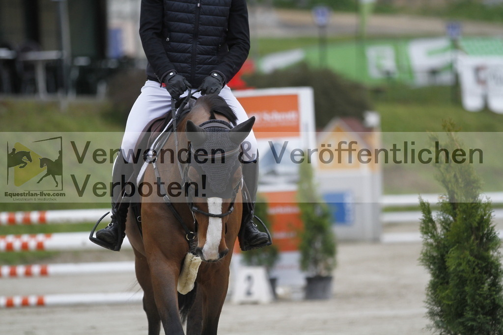 _MG_8873 | equestrian-live-com
