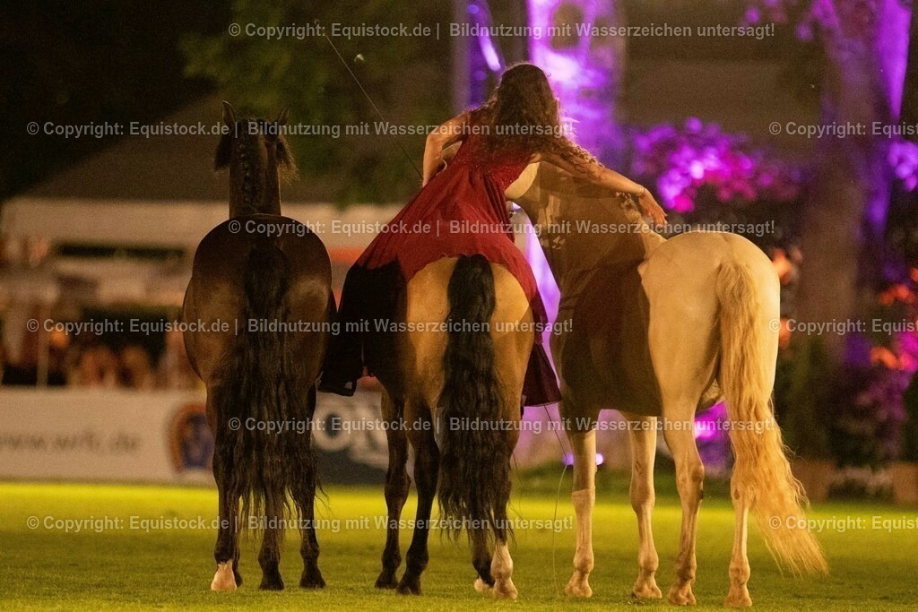 20230526_Pferdenacht_1474 | equistock