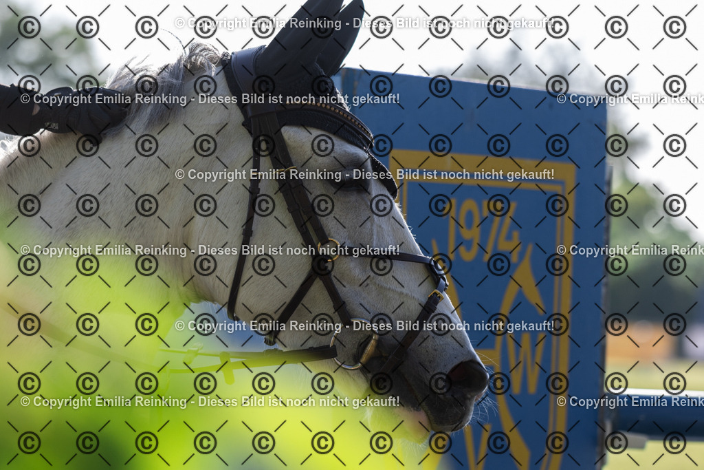 CL5A9125 | Emilia Reinking Fotografie - Realisiert mit Pictrs.com