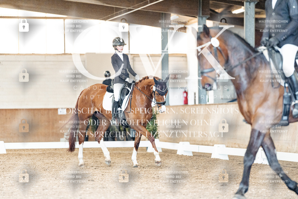 CK901321 | Turnierfotografie Pferdefotografie Trier Rheinland-Pfalz Pferdesport Reitsport Tierfotografie Sportfotografie Pferdevideo Pferdevideografie Equestrianvideography equestrianphotography  - Realisiert mit Pictrs.com