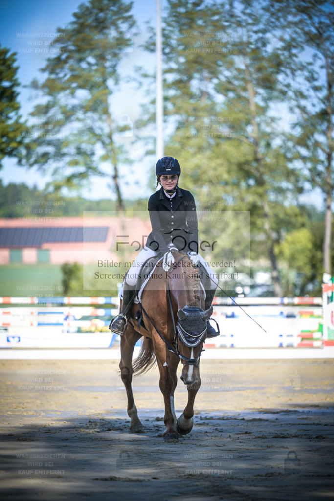 DOS_3062 | Entdecke hochwertige Reitturnierfotos von Foto Oger. Professionell, emotional und authentisch – jetzt Lieblingsmomente im Shop bestellen. - Realisiert mit Pictrs.com