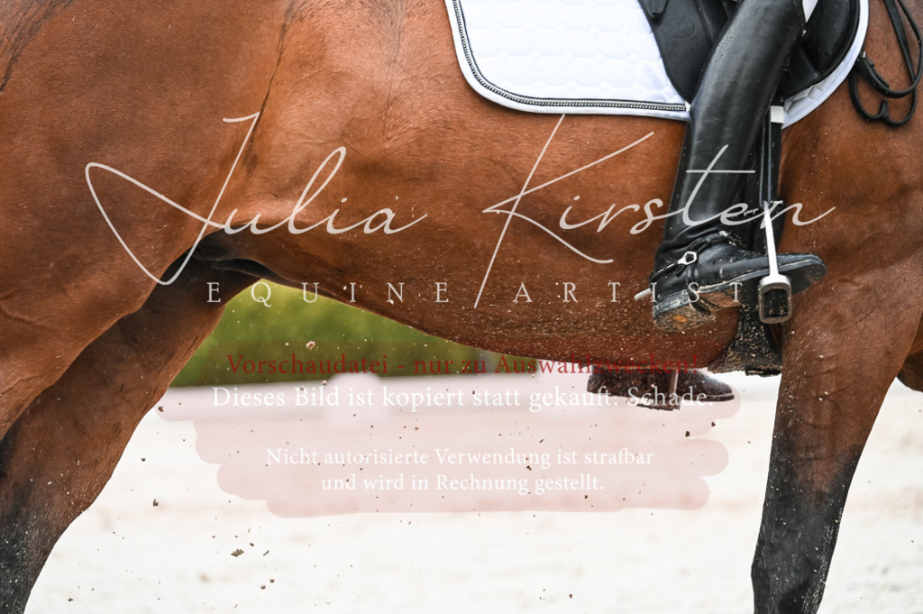 DSC_4594 | Pferde- und Turnierfotografie in Westsachsen. Pferdeportraits, Auftragszeichnungen und intuitive Kunst.