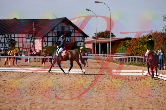 2026_10_03_Siefer-Hof_125436_Z81_42376378 | Professionelle Reitsport-, Turnier- und Eventfotografie von Robert Broda. Galerien mit ausgewählten und bearbeiteten Bildern direkt online ansehen und bestellen.