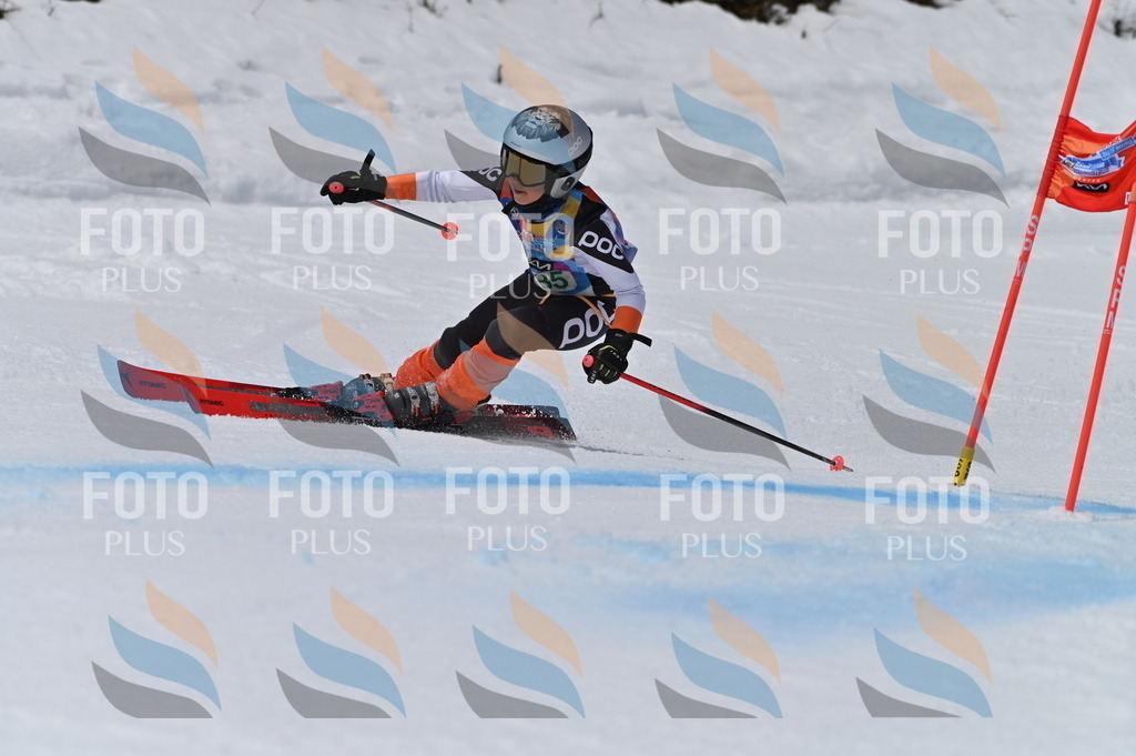 BGV_5690 | holidayphoto