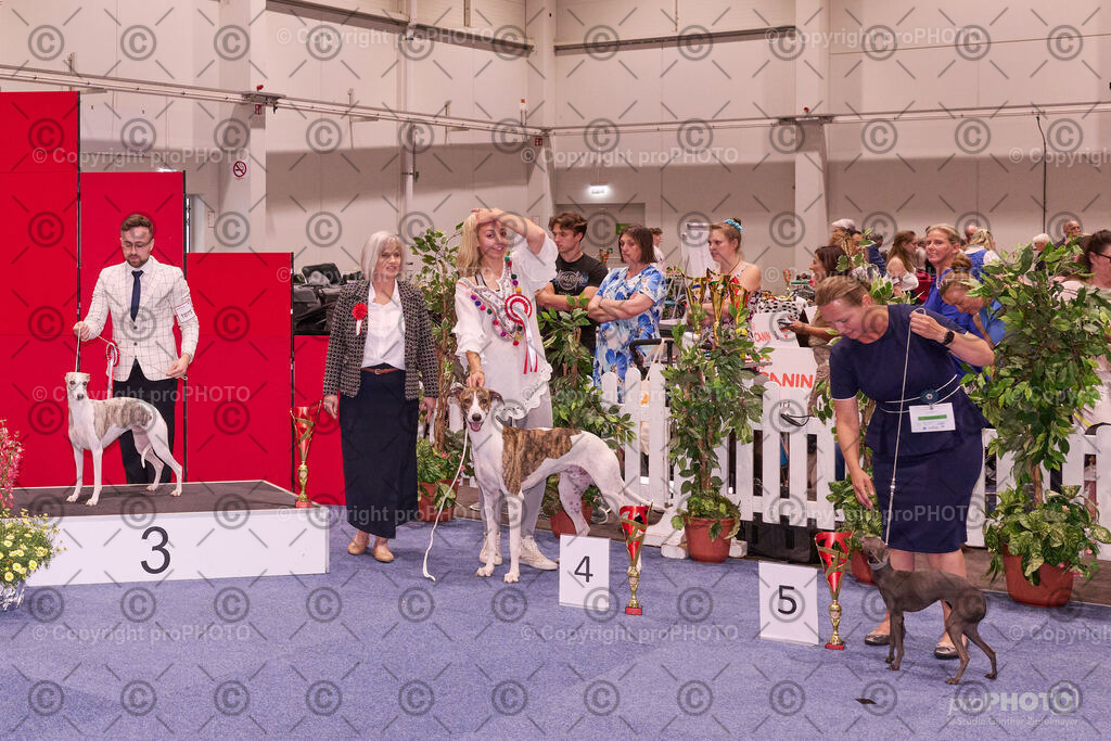 202406_ÖKV-IHA-Tulln24_NZ9_9582 | proPHOTO - Realisiert mit Pictrs.com