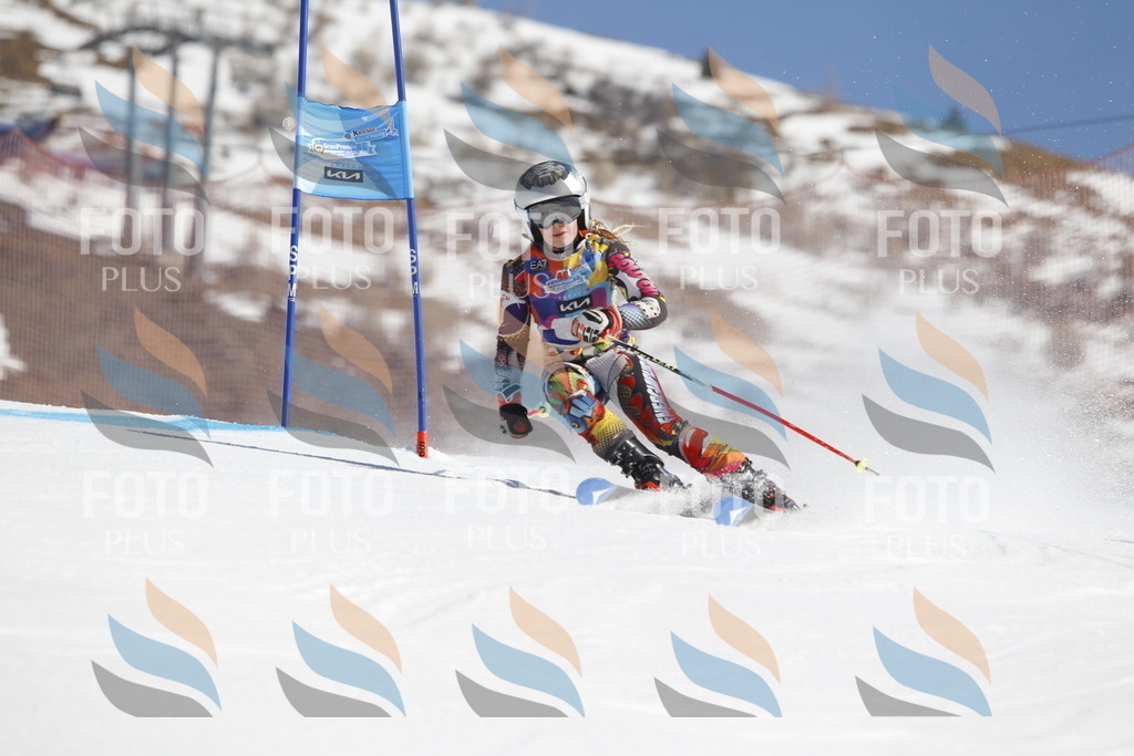 _U3G8540 | holidayphoto