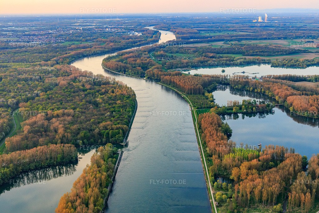 Luftbild: Rhein von Süden mit Insel Rott am Rhein in Linkenheim-Hochstetten im Bundesland Baden-Württemberg in Deutschland. Foto: IMG_106672.jpg vom 17.04.2018 durch Werner Riehm/FLY-FOTO.de