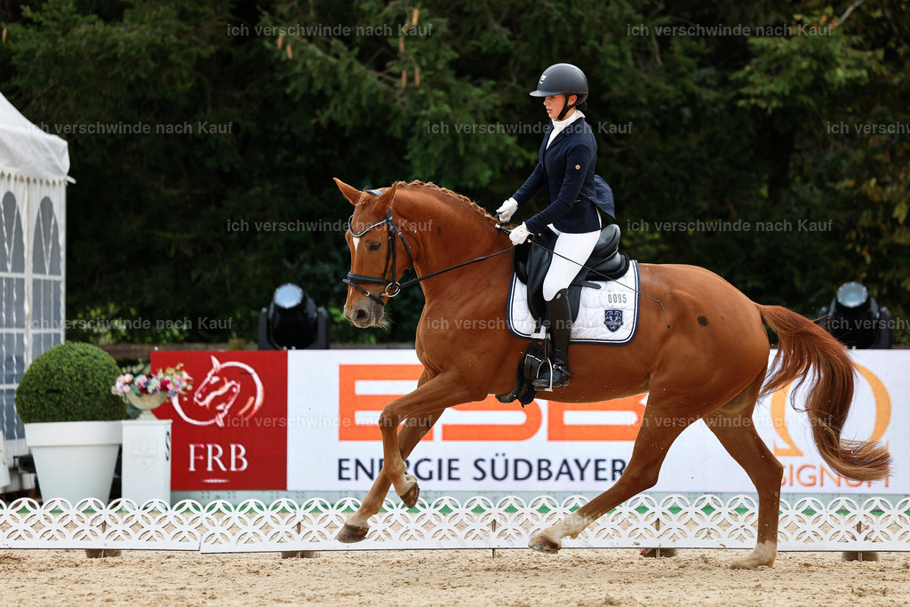 02-095-DRESSUR L_  -StoibPH-4711 | working equitationturnier fotograf videograf stoibphotography marixx film working equitation deutschland reitsport turnierfotografie eventfotografie equestrian events