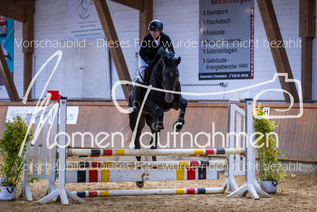 Sth-Gewöhnung-006 | MomenTaufnahmen Pferdesportfotos