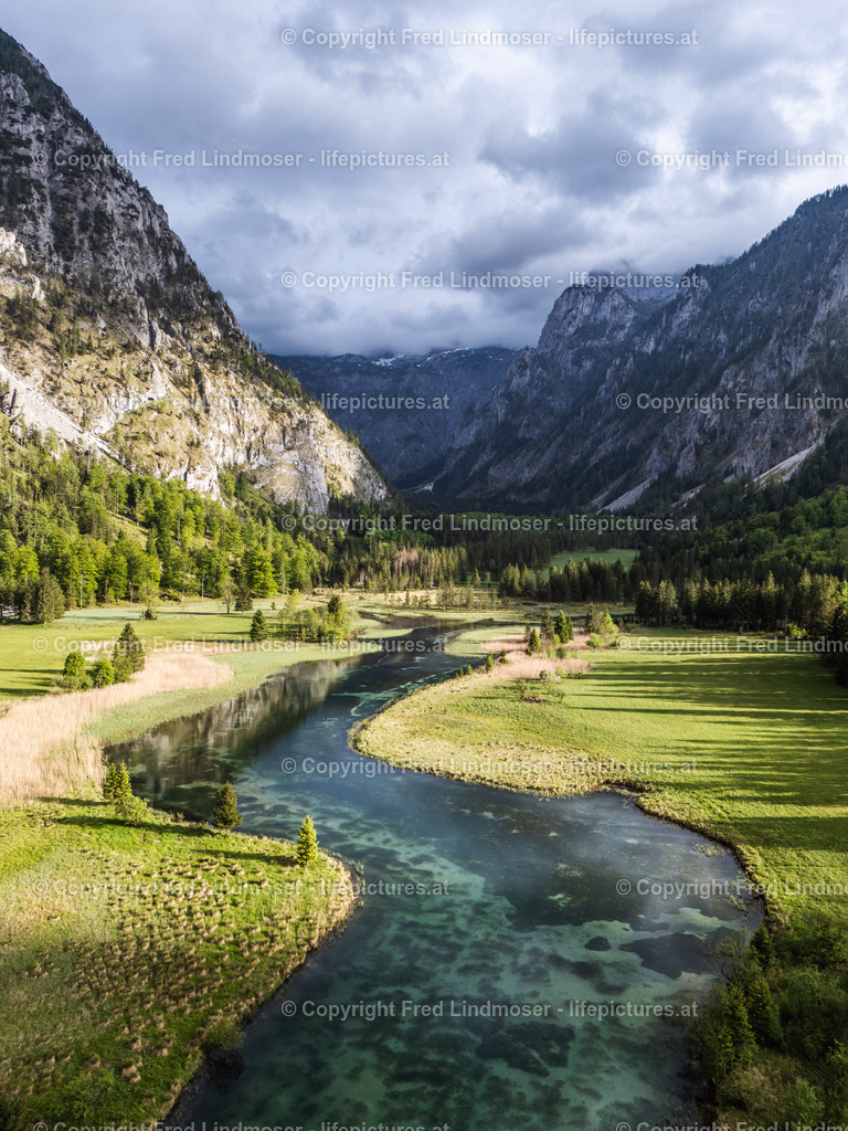 Brunnsee 15052025 _ Fred Lindmoser--2 | default - Realisiert mit Pictrs.com