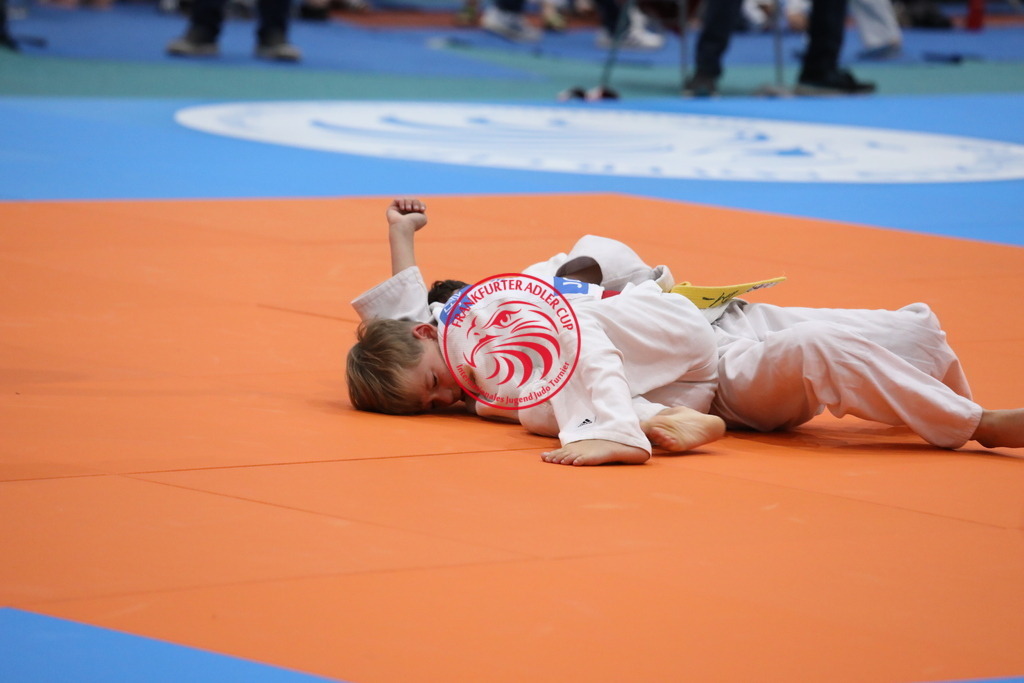 1J7A3161 | Fotos vom Adler Cup - Pictures from Adler Cup

Hier findet Ihr alle Eindrücke und großen Momente der Adler Cup Wochenenden. Here you will find all impressions and great moments of the Adler Cup weekends. - Realisiert mit Pictrs.com