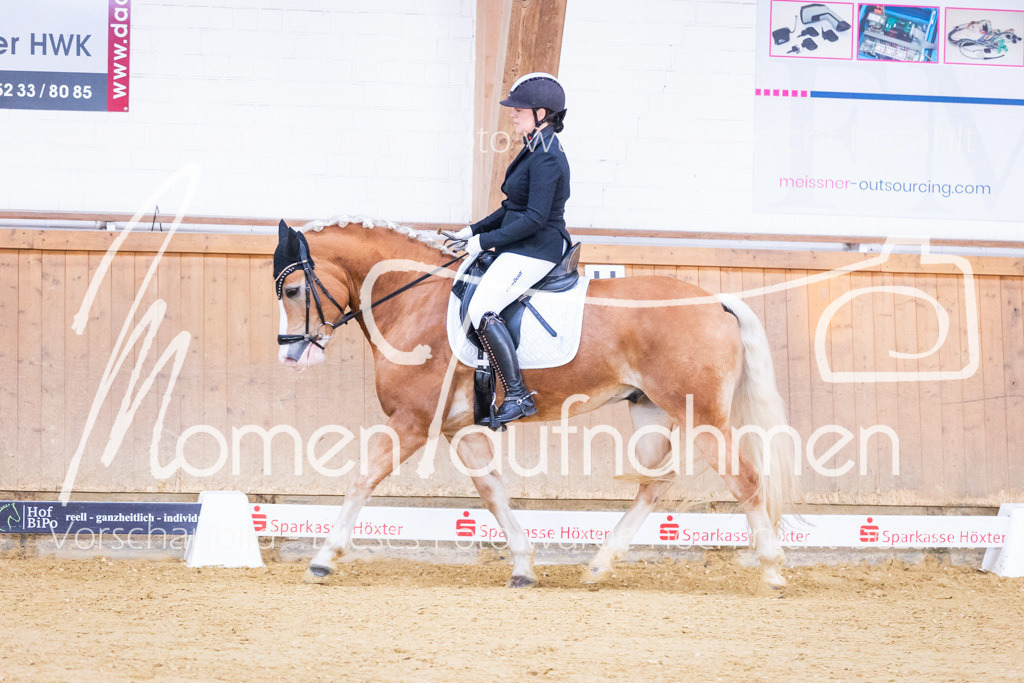 Sth-A-Dre-1St-084 | MomenTaufnahmen Pferdesportfotos