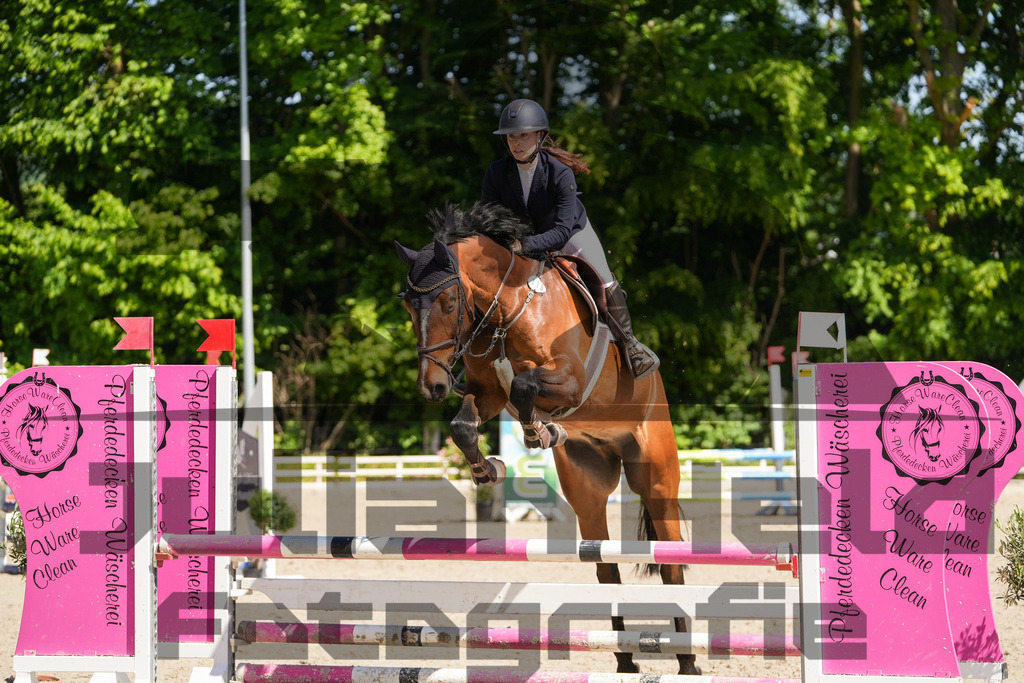 DSC02201 | Julian Held Fotografie - Realisiert mit Pictrs.com