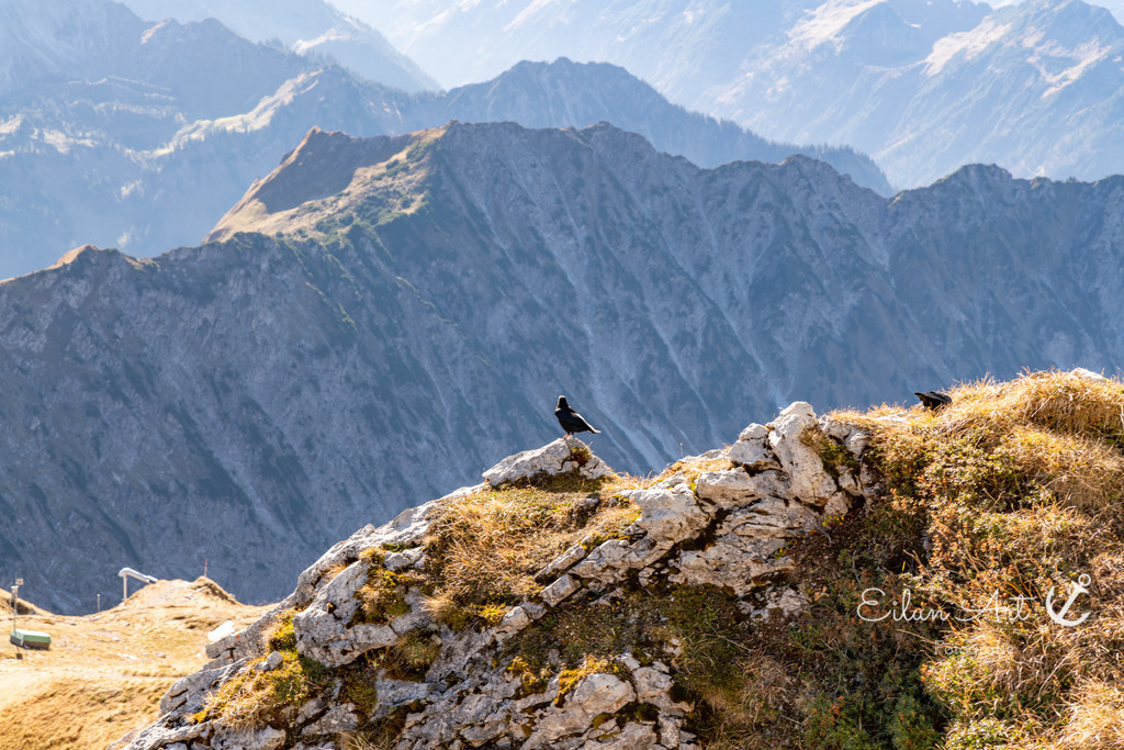 20241029-EAF_5059 | Eilun-Art-Fotografie Levke Martens, ihre Fotografin für Immobilien- und Landschaftsfotografie auf Föhr, Föhrer Motive als Poster, Leinwand, hinter Acrylglas oder stelle dir deinen eigenen Monatskalender zusammen, mit nur einem Klick