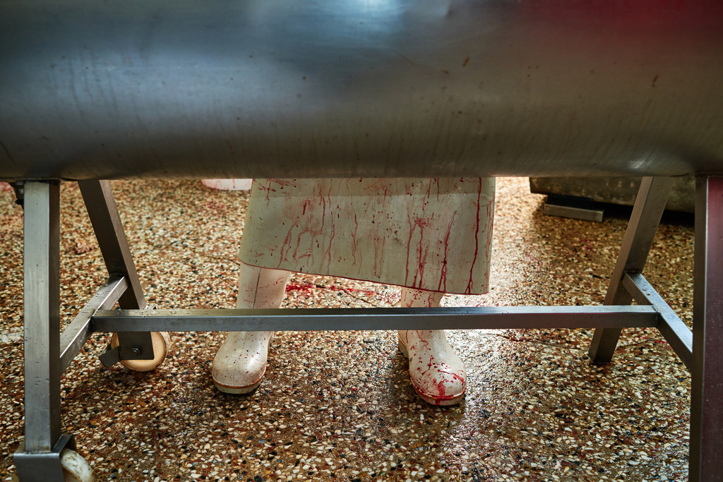 Fleischerei Dormayer | Langenzersdorf, Austria - February 12, 2019: Fleischerei Dormayer - Blutwurst Herstellung; Trog mit dahinter stehendem Fleischer. - Realisiert mit Pictrs.com