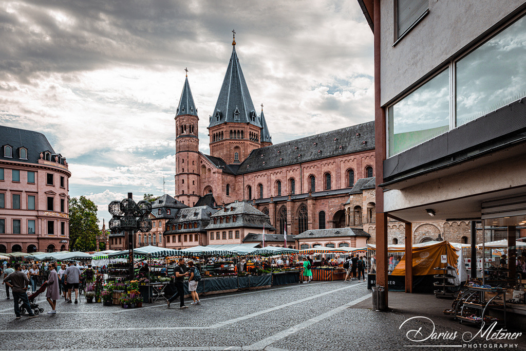 DSC_7026 | Fotografien, Fotos und Bilder aus Mainz, Frankfurt, Wiesbaden und anderen Orten auf der Welt - Fotografiert von Darius Metzner